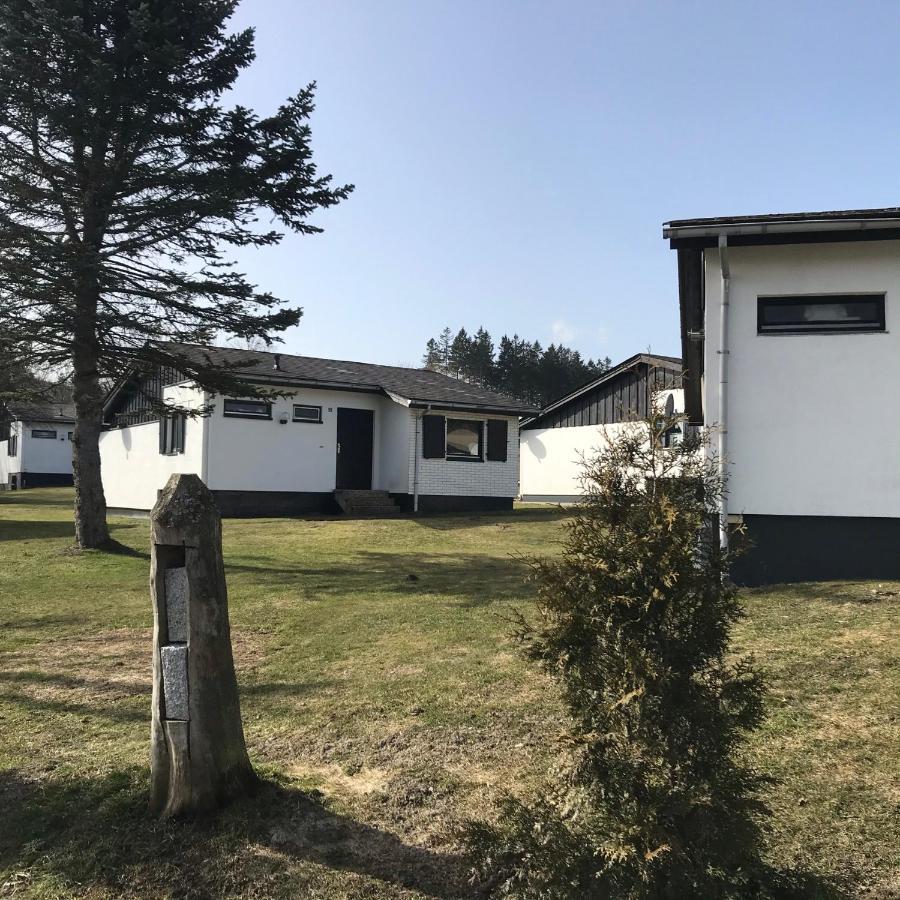 Modernes Ferienhaus Willingen 维林根 外观 照片